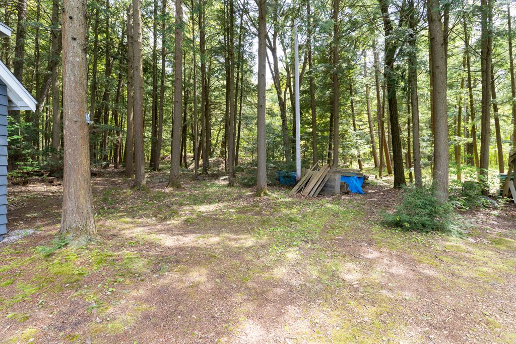 15052 Georgian Bay Shore Honey Harbour Muskoka image 27